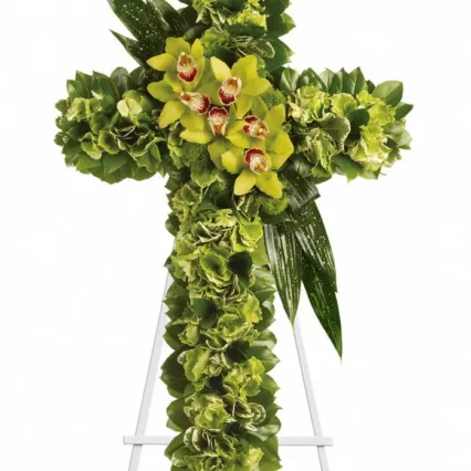 Cruce – Hortensie, Orhidee Imperiala sau Phanelopsis, Aspidistra, Salal