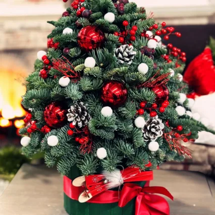 Brad argintiu Rosu cu Alb