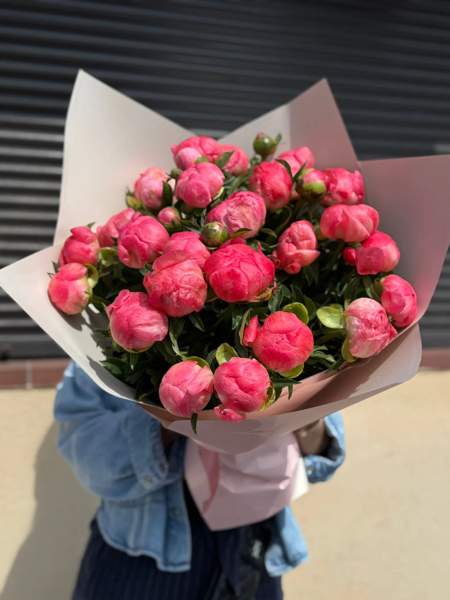 Coral Charm - imagine 2