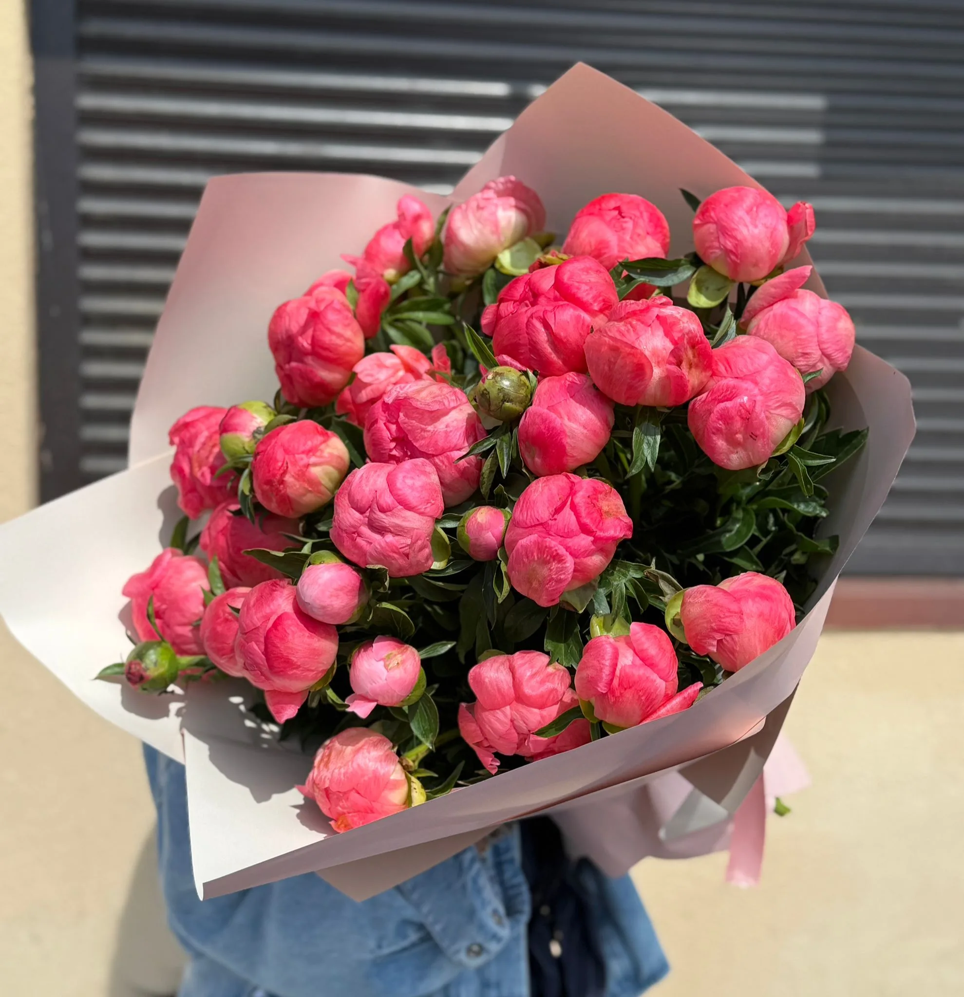 Coral Charm - imagine 4