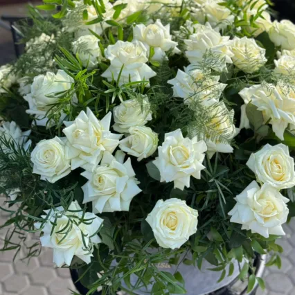 Aranjament Cutie de Catifea