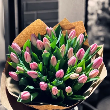 Buchet Tender Tulips