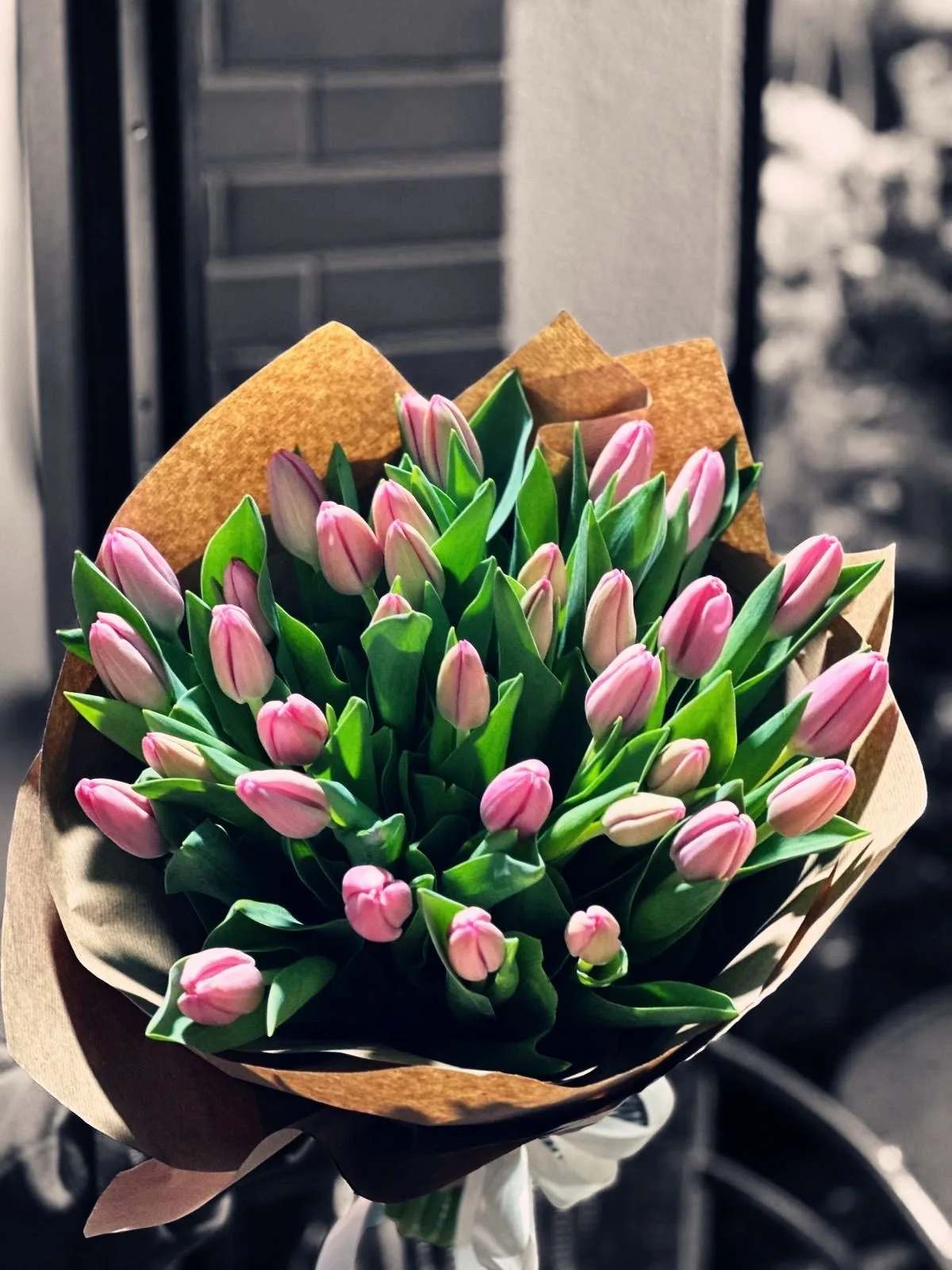 Buchet Tender Tulips