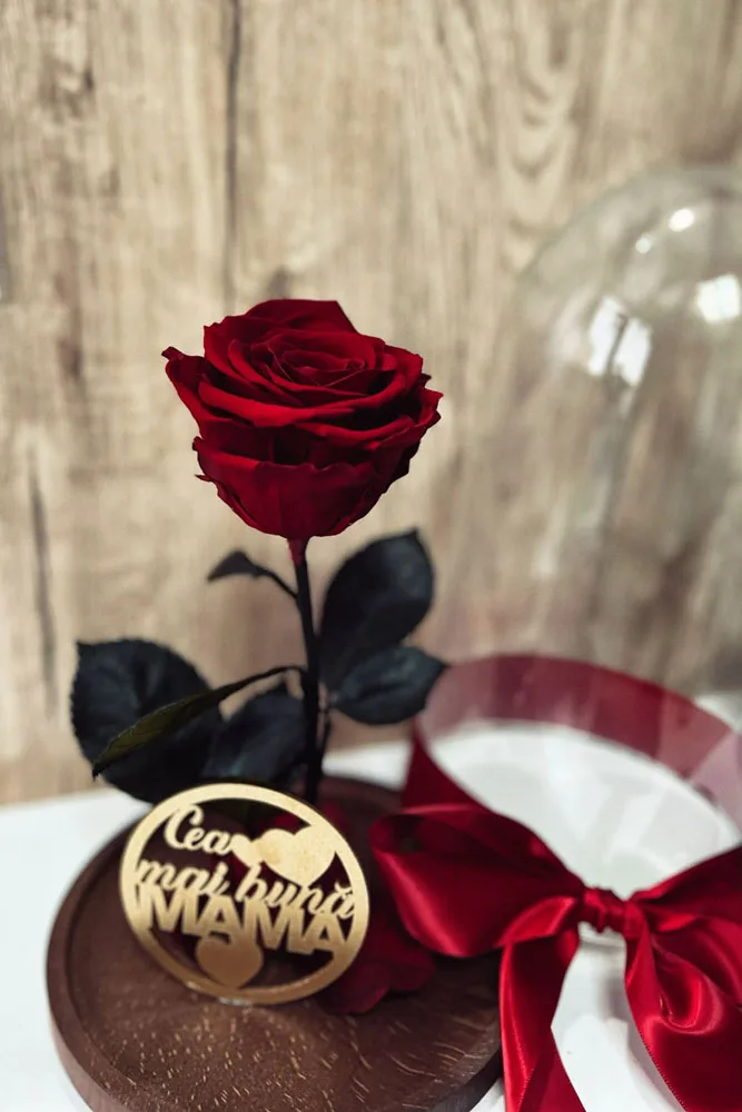 Trandafir criogenat - imagine 2