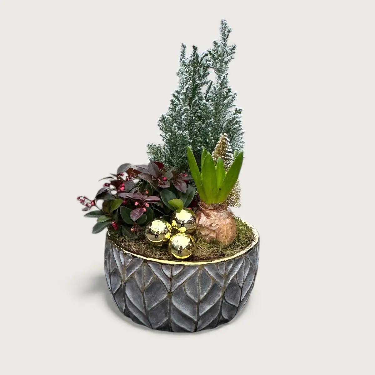Aranjament „Winter Trio” în Ghiveci Ceramic Elegant