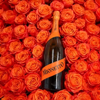 Prosecco Mionetto Treviso