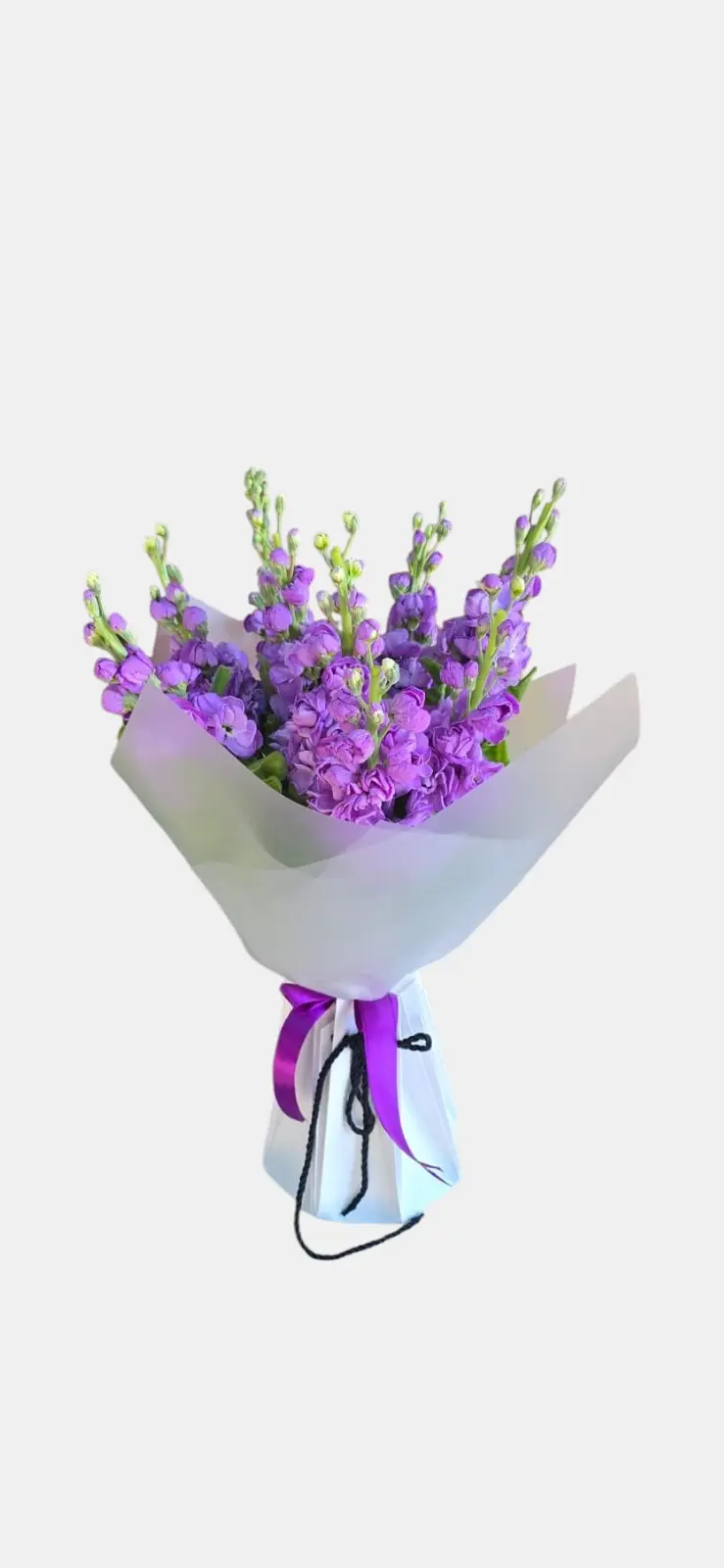 Buchet Mathiola 9