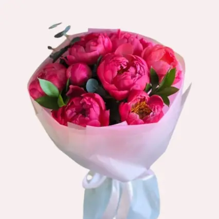 Buchet 9 bujori roz coral