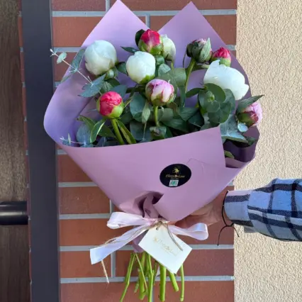 Buchet 11 bujori mixt, proaspeți și colorați