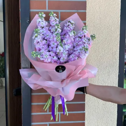 Buchet 11 fire Mathiola mov