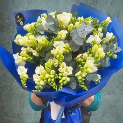 Buchet 51 frezii albe și galbene, plin de prospețime și delicatețe