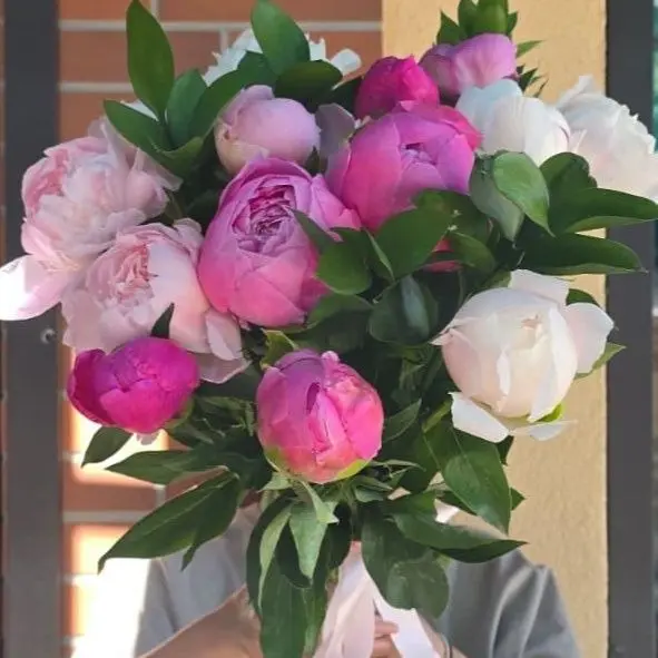 Buchet 15 bujori proaspeți în nuanțe delicate de roz și alb