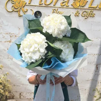 Buchet delicat cu 3 hortensii albe