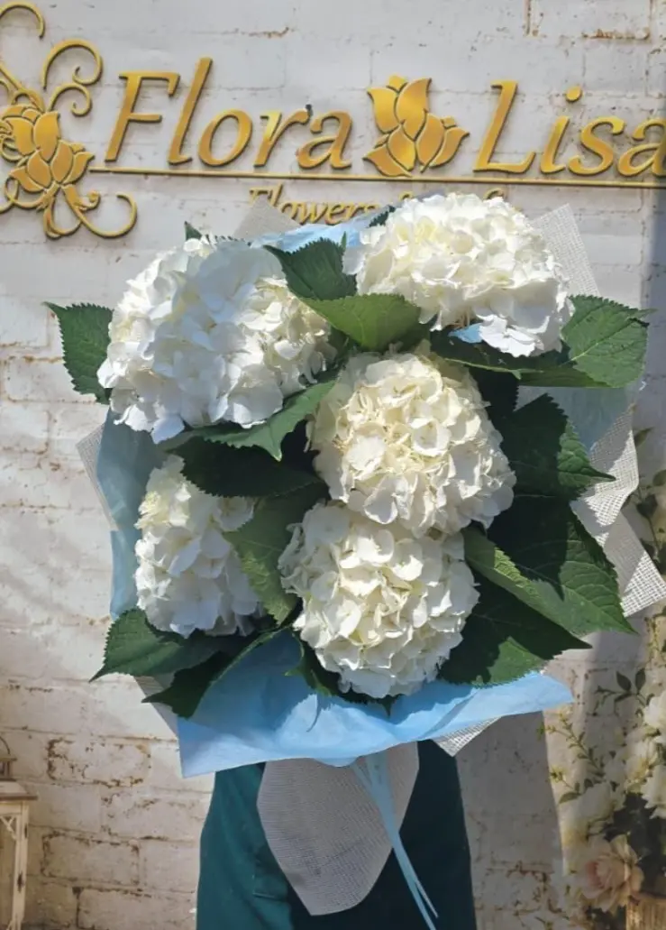 Buchet 5 hortensii albe
