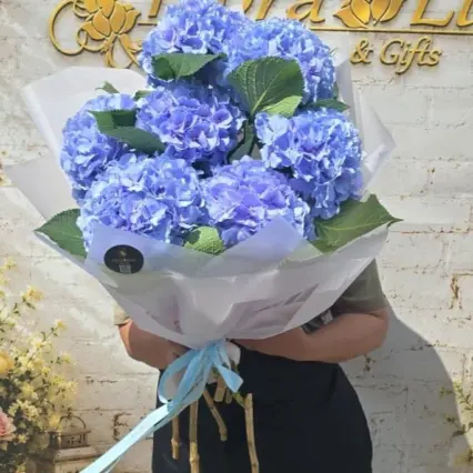 Buchet de 7 hortensii albastre