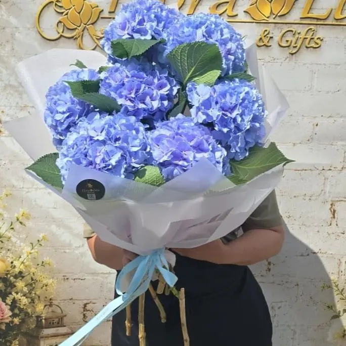 Buchet de 7 hortensii albastre