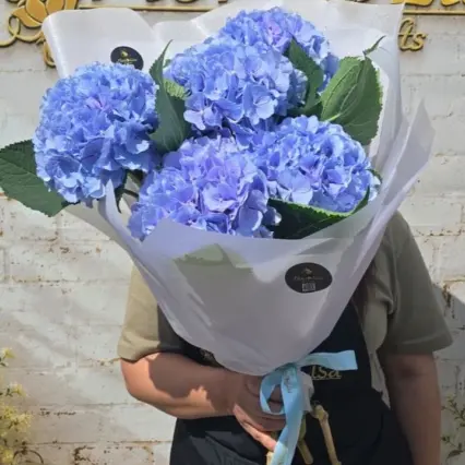 Buchet elegant cu 5 hortensii albastre