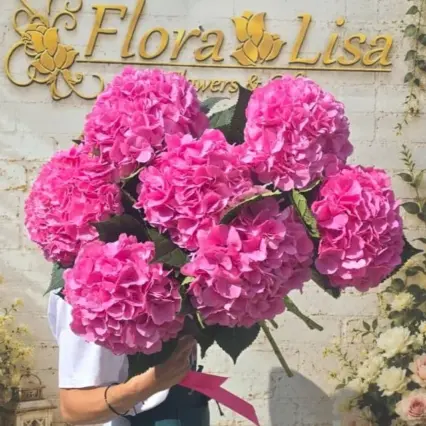 Buchet 7 hortensii roz vibrant