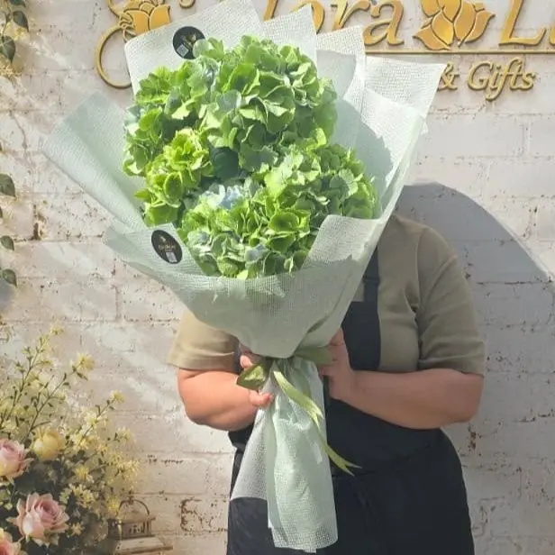 Buchet 5 hortensii verzi